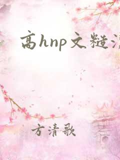 高hnp文糙汉