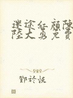 迷途红颜陈梦洁陆大勇免费阅读全文