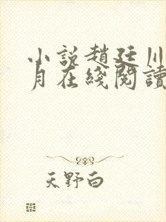 小说赵廷川林淼月在线阅读