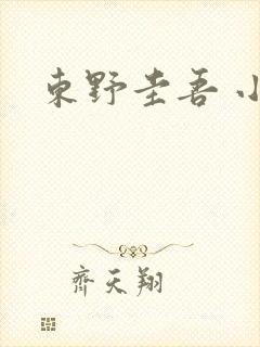 东野圭吾 小说
