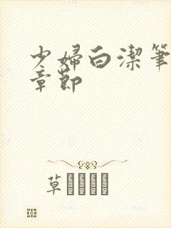 少妇白洁笔趣阁章节