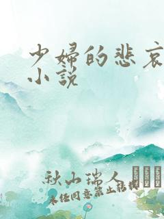 少妇的悲哀爱珠小说