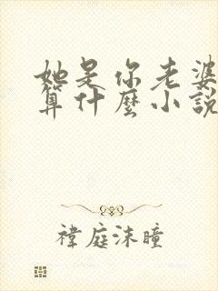她是你老婆那我算什么小说免费阅读