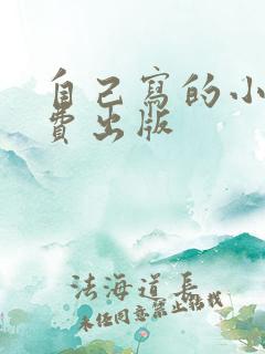 自己写的小说自费出版