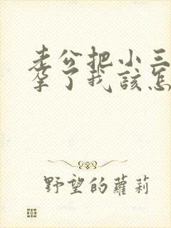 老公把小三搞怀孕了我该怎么办