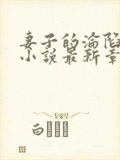 妻子的沦陷曹叔小说最新章节