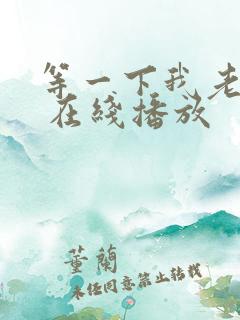 等一下我老公呢 在线播放