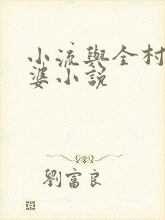 小流与全村老太婆小说