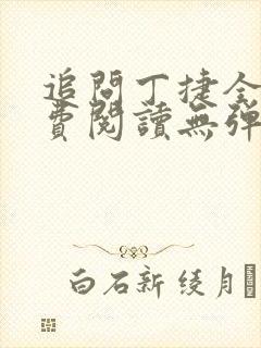 追问丁捷全文免费阅读无弹窗