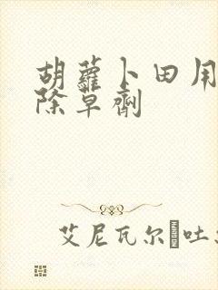 胡萝卜田用什么除草剂 胡萝卜田用什么除草剂