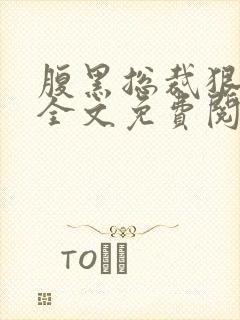 腹黑总裁狠给力全文免费阅读