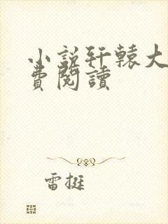 小说轩辕大宝免费阅读