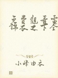 免费观看电视剧锦衣之下全集