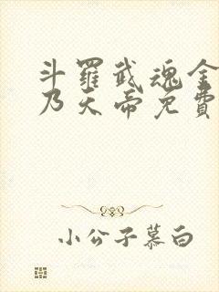 斗罗武魂金乌吾乃天帝免费阅读