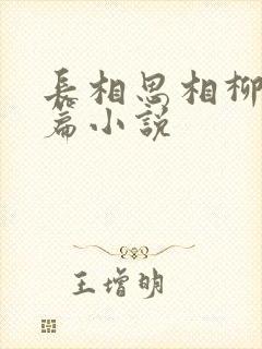 长相思相柳番外篇小说