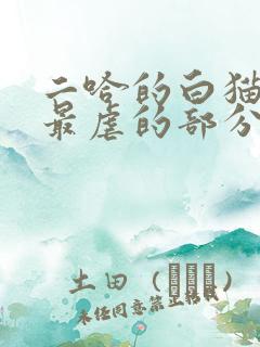 二哈的白猫师尊最虐的部分
