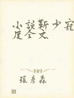 小说靳少宠妻无度全文