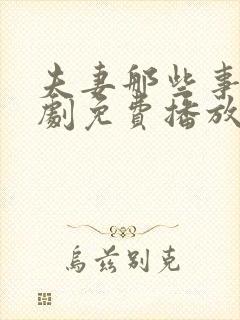 夫妻那些事电视剧免费播放