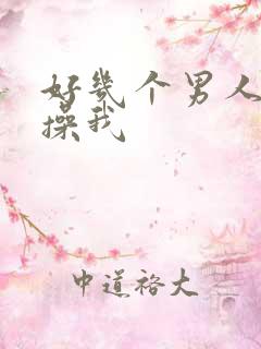 好几个男人一起操我