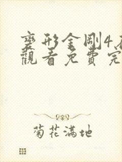 变形金刚4在线观看免费完整版高清