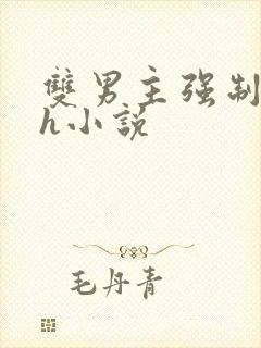 双男主强制爱高h小说