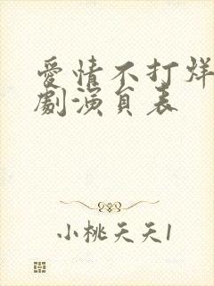 爱情不打烊电视剧演员表