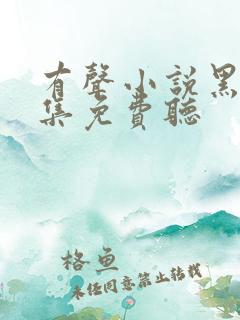 有声小说黑锅全集免费听