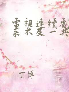 电视连续剧我怕来不及一共多少集