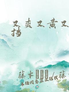 又爽又黄又无遮挡