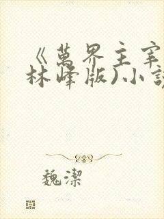 《万界主宰》(林峰版)小说
