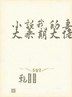 小说我的妻子是大乘期大佬txt