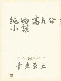 纯肉高h公交车小说