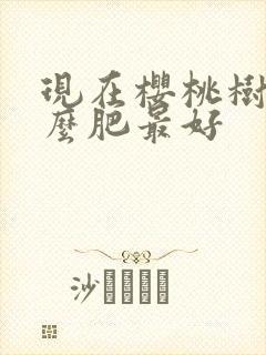 现在樱桃树施什么肥最好