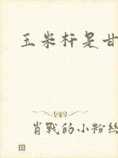 玉米杆是甘蔗吗