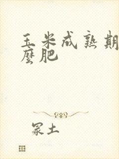 玉米成熟期施什么肥