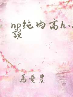 np纯肉高h小说