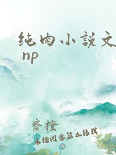 纯肉小说文高h np
