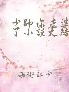 少帅你老婆又跑了小说大结局