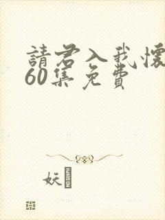 请君入我怀1~60集免费