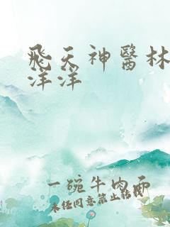 飞天神医林飞陈洋洋