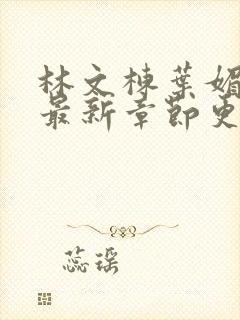 林文栋叶媚小说最新章节更新免费阅读