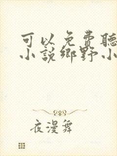 可以免费听小说小说乡野小傻医