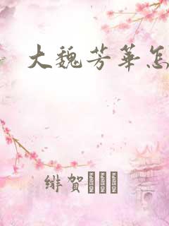 大魏芳华怎么样