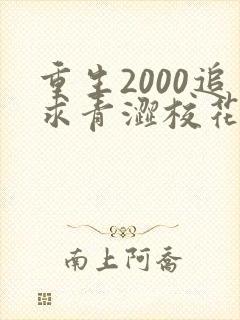 重生2000追求青涩校花同桌开始 小说完整板
