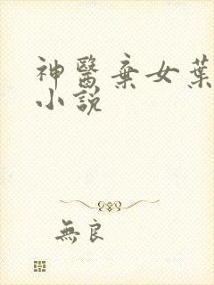神医弃女叶凌月小说