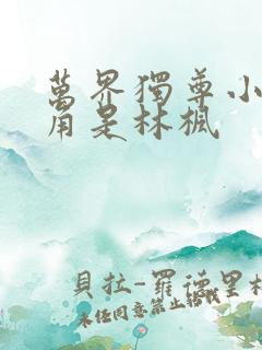 万界独尊小说主角是林枫