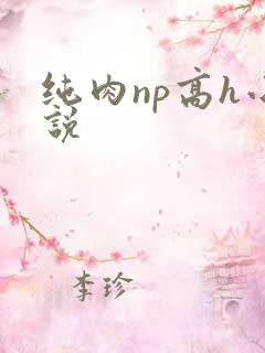 纯肉np高h小说