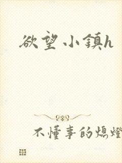 欲望小镇h