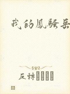 我的凤骚岳母