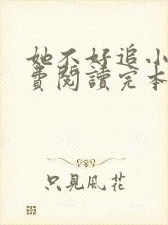 她不好追小说免费阅读完本